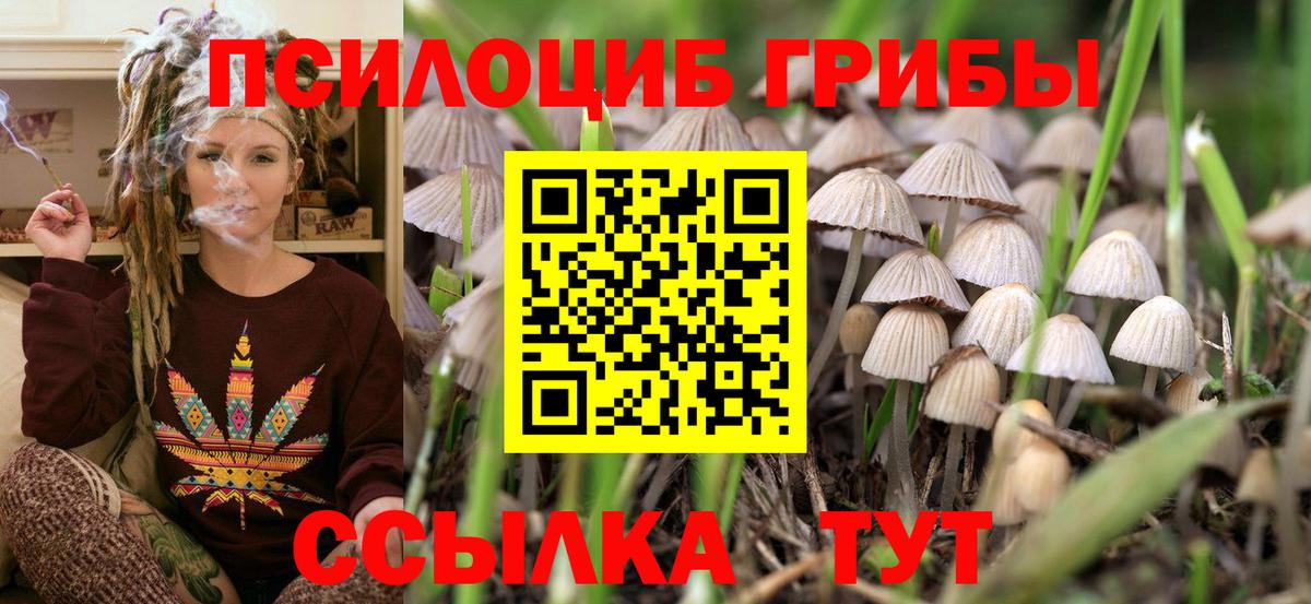 Галлюциногенные грибы мицелий  Вход с VPN  Борзя 