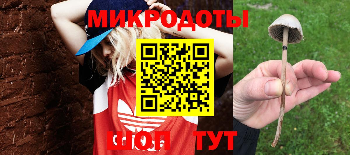 Псилоцибиновые грибы Psilocybine cubensis Борзя